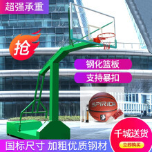 籃球架選購指南 價格、品牌與選購要點全解析